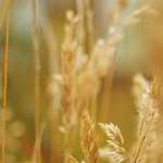 外部のFusion360習得コースを受講することに．．．